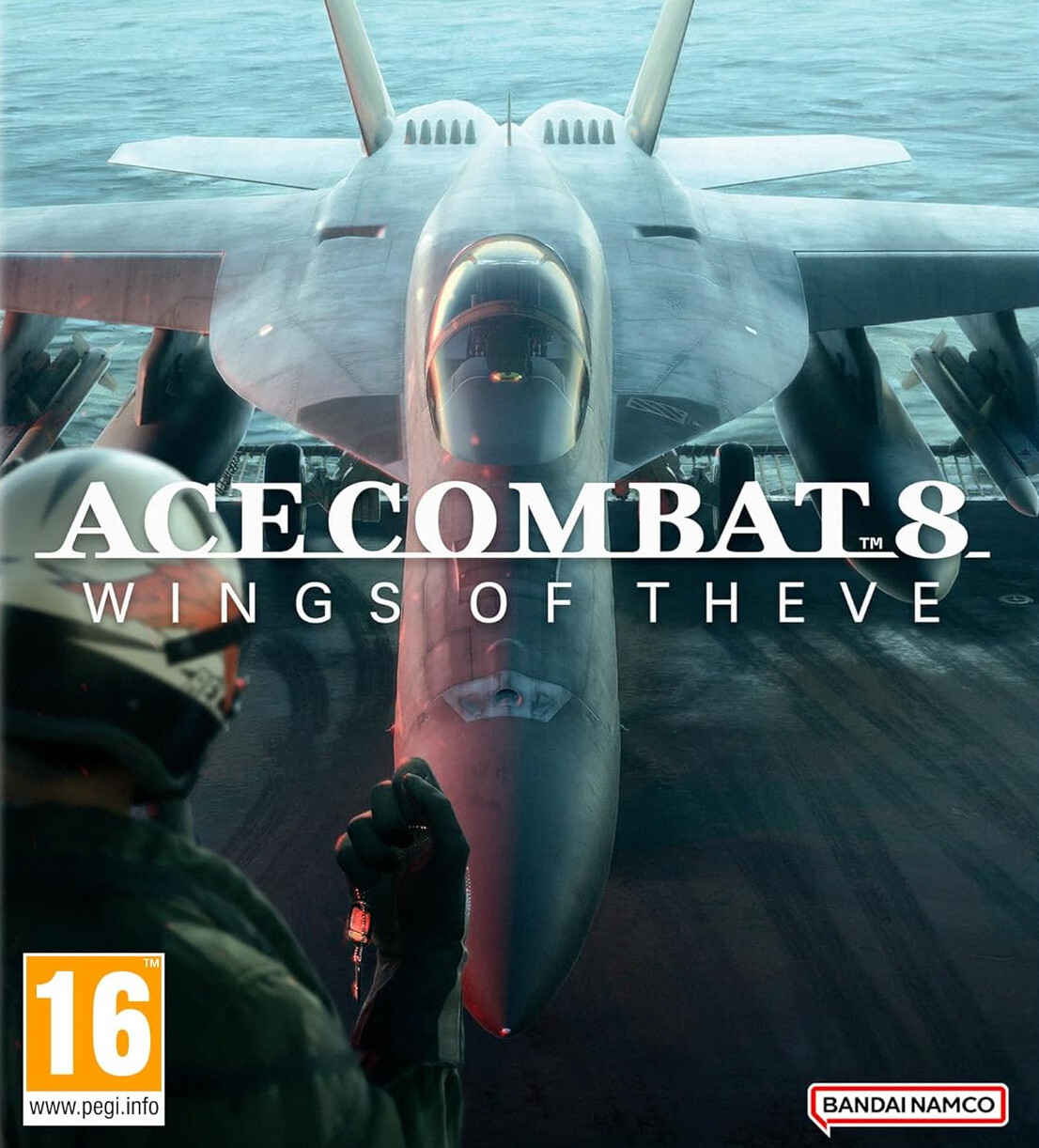 Ace Combat 8: Wings of Theve